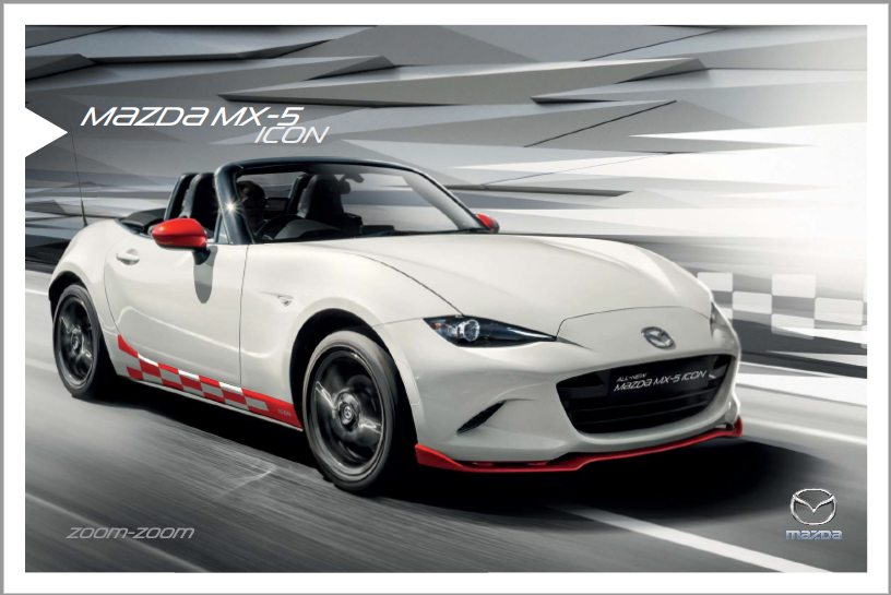 2016 Icon PDF Brochure