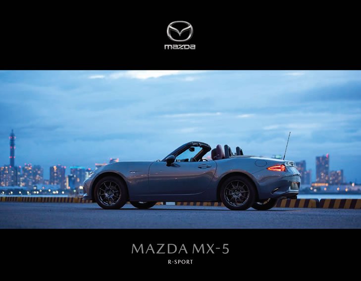 2020 R-Sport PDF Brochure
